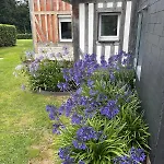 Luxurious 5-suite Near Deauville *