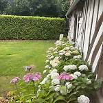 Luxurious 5-suite Near Deauville Vauville