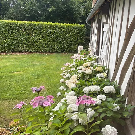 Luxurious 5-suite Near Deauville Vauville
